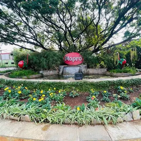 Mapro Garden